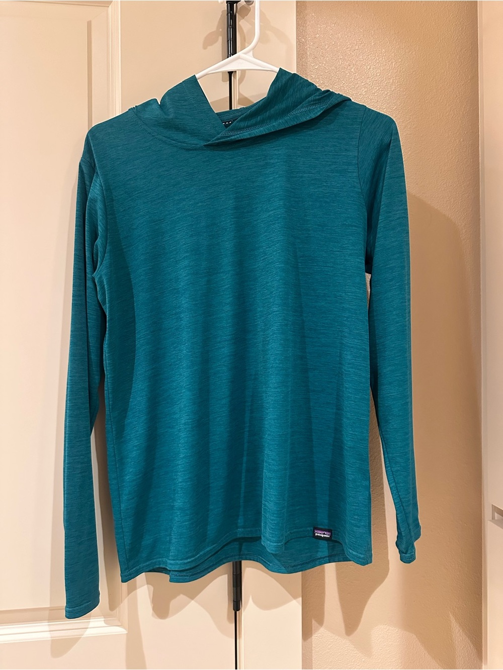Patagonia Kids Teal Hooded Long-Sleeve Shirt